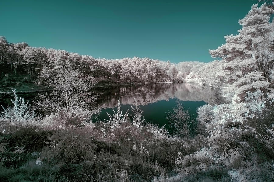 Beautiful False Color Surreal Infrared Landscape Image Of Lake A Photograph