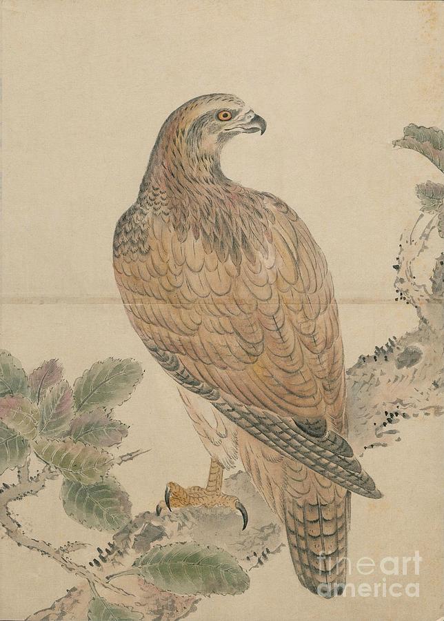Birds of Japan in the 19th century #12 Painting by Celestial Images