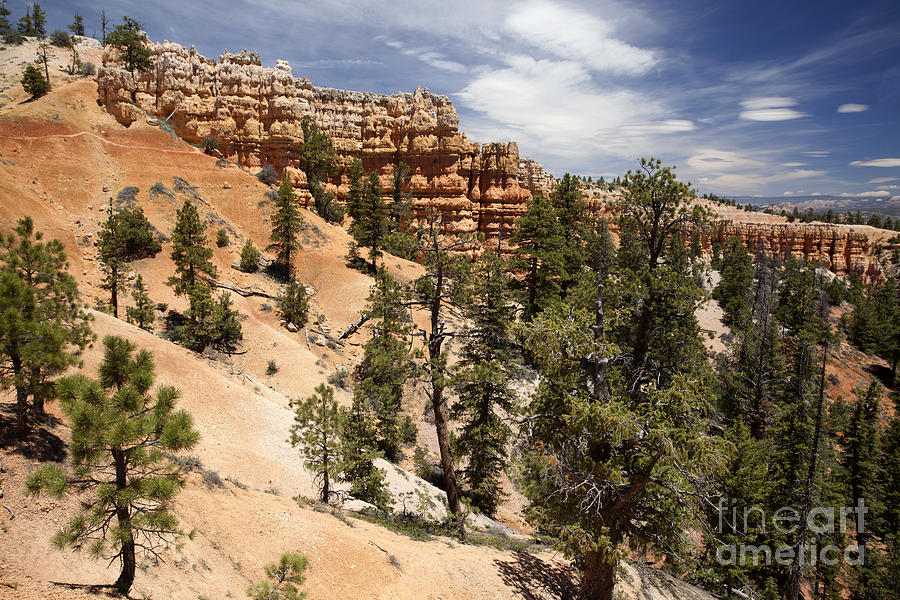 Bryce Canyon - Utah #12 Photograph by Anthony Totah
