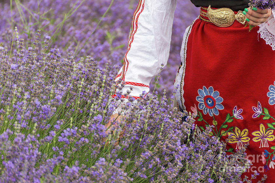 Bulgaria Photograph - Bulgarian Girl In A Lavender Field by Nikolay Stoimenov Bulgaria Photograph - Bulgarian Girl In A Lavender Field by Nikolay Stoimenov