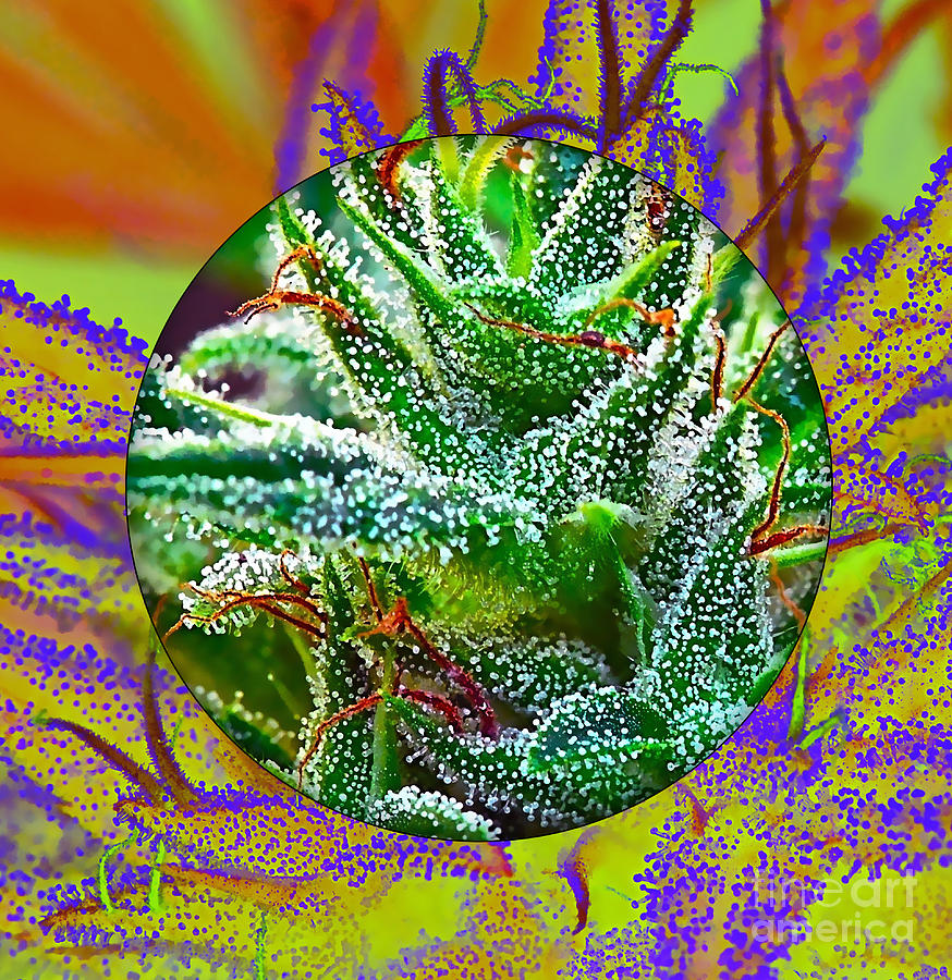 Cool Mixed Media - Cannabis 420 Collection #12 by Marvin Blaine