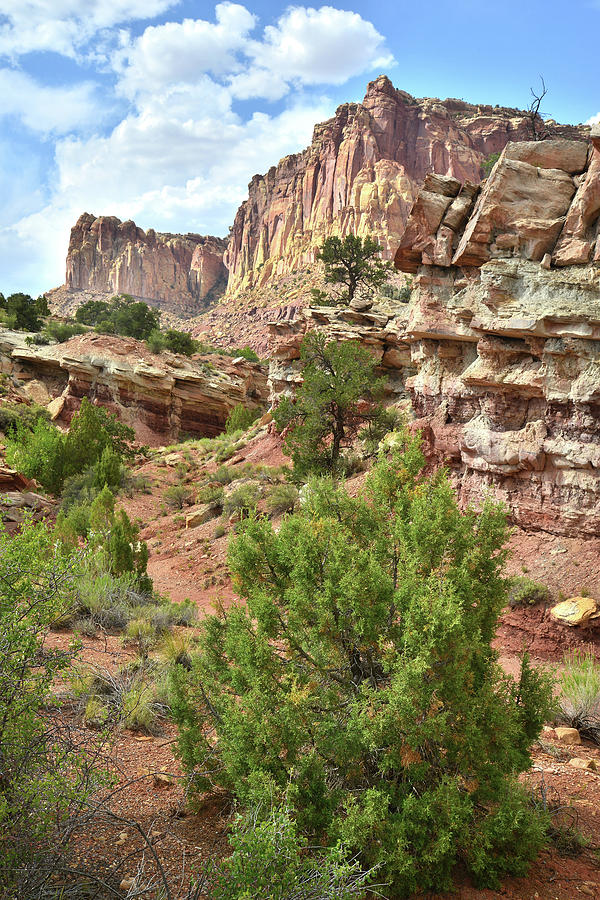 Capitol Reef National Park Photograph - Capitol Reef Scenic Drive #12 by Ray Mathis