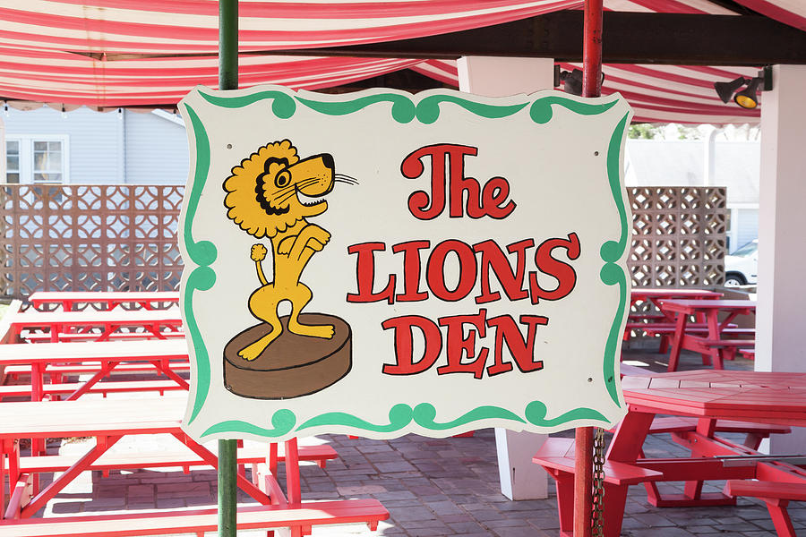 Lion Photograph - Circus Drive-In  #12 by Erin Cadigan