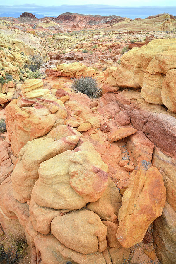 Colorful Sandstone in Valley of Fire #19 Photograph by Ray Mathis