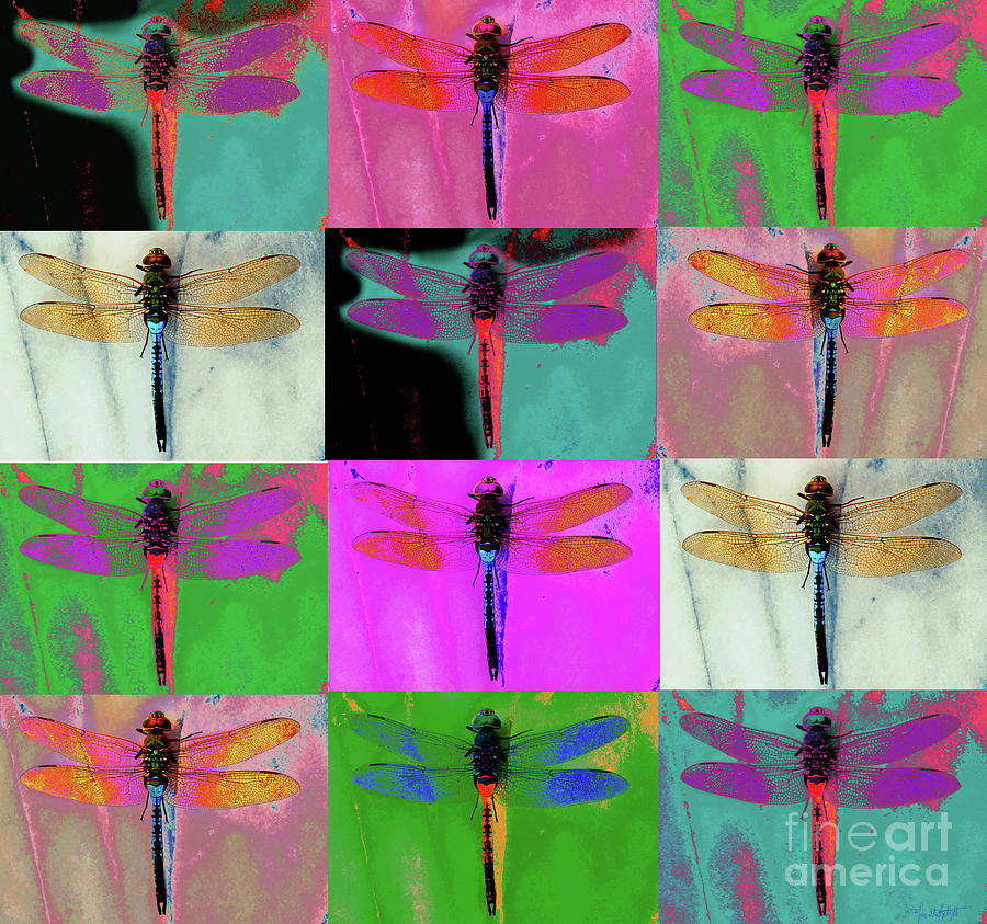 12 Dragonflies Digital Art by Priscilla Batzell