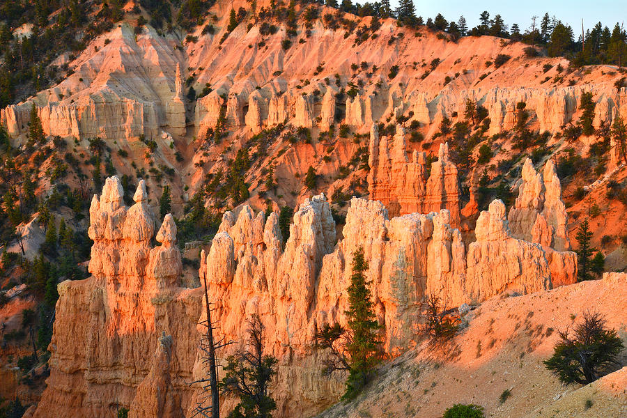 Fairyland Canyon #11 Photograph by Ray Mathis