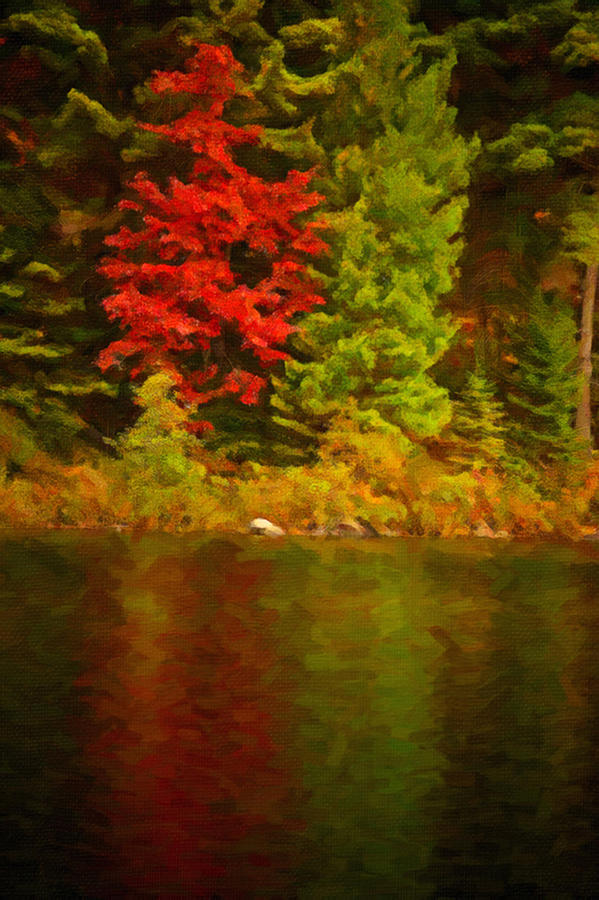 Fall Reflections #12 Painting by Prince Andre Faubert