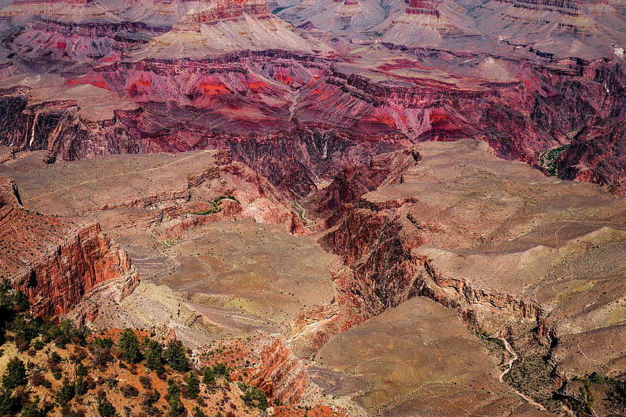Grand Canyon #12 Photograph by Doug Long