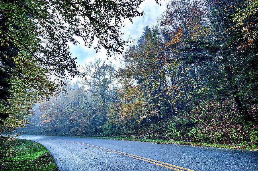   Great Smoky Mountains National Park  #12 Photograph by Alex Grichenko
