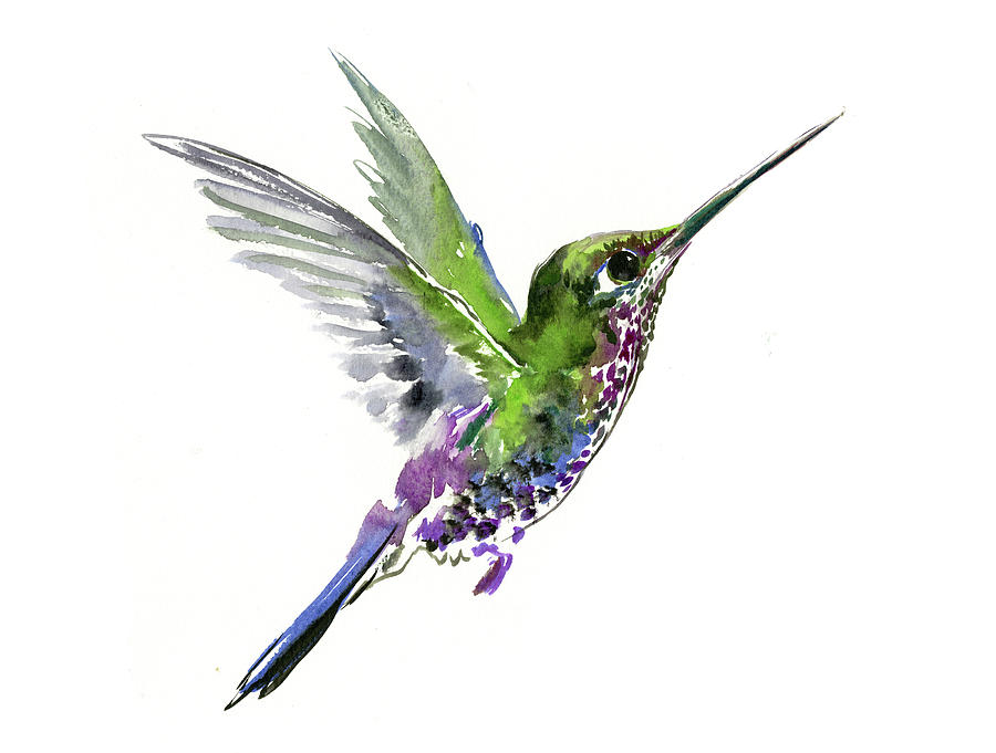 Hummingbird #12 Painting by Suren Nersisyan