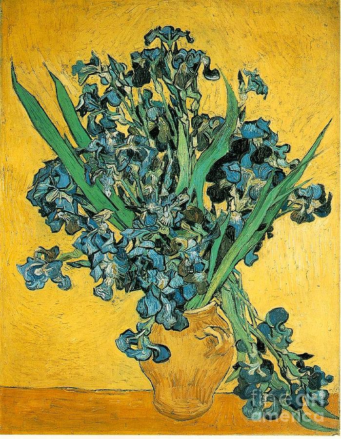 Irises 1890 By Vincent Van Gogh Painting By Art Anthology