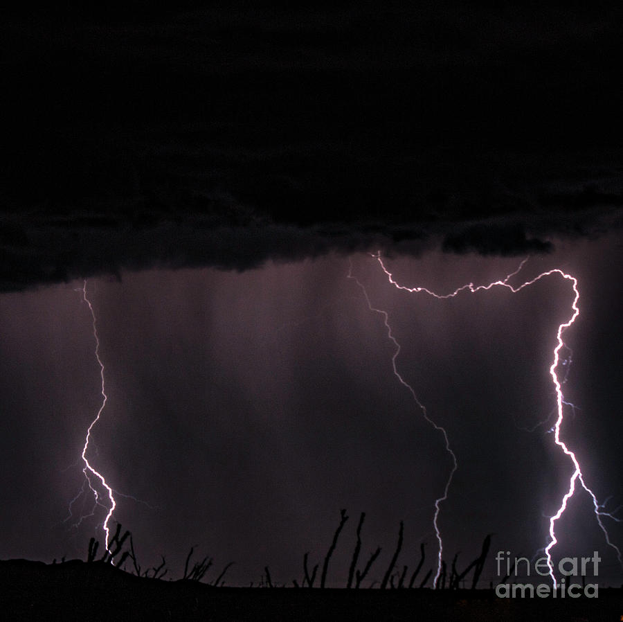 Lightning #13 Photograph by Mark Jackson