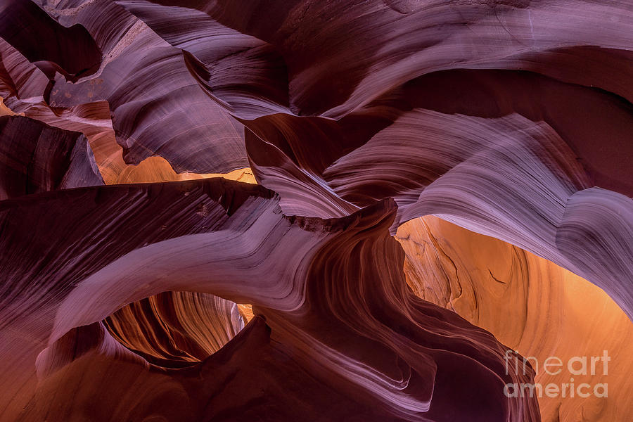 Lower Antelope Canyon #14 Photograph by Craig Shaknis