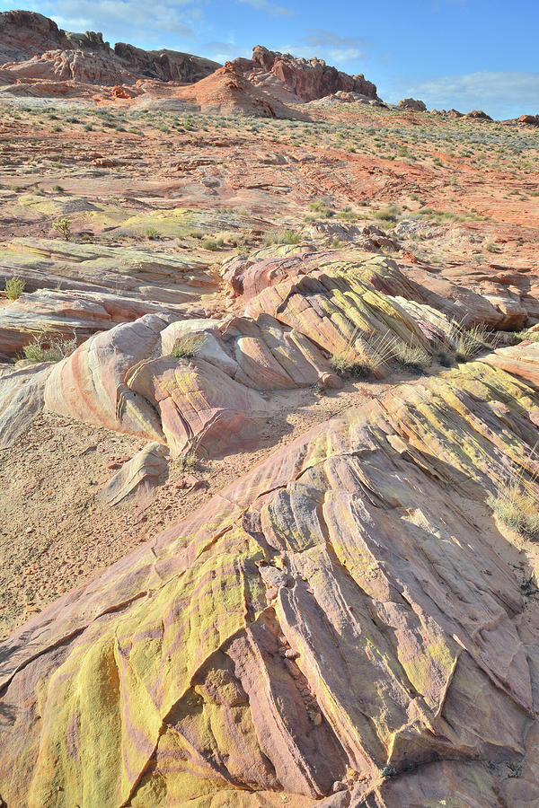 Multicolored Sandstone in Valley of Fire #13 Photograph by Ray Mathis