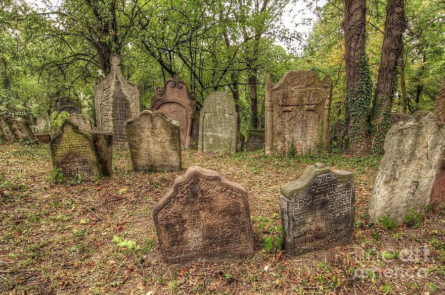 Old Jewish Cemetery #12 Photograph by Michal Boubin