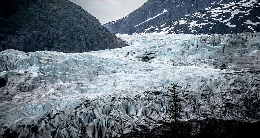 Panoramic view of Mendenhall Glacier Juneau Alaska #12 Photograph by Alex Grichenko