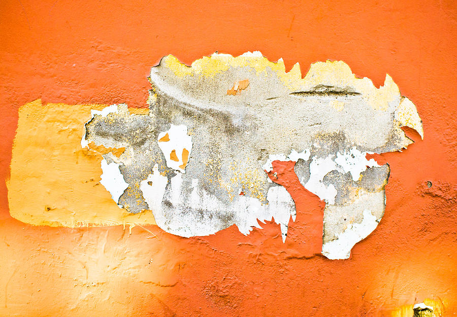 Peeling paint #12 Photograph by Tom Gowanlock
