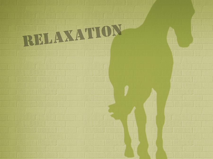 Relaxation Graffiti Photograph by Dressage Design