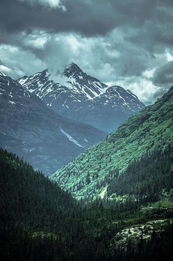 Rocky Mountains Nature Scenes On Alaska British Columbia Border #12 Photograph by Alex Grichenko
