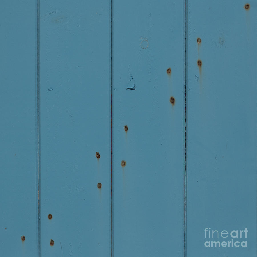 12 Rusty Nails In A Blue Door  Photograph by Wendy Wilton