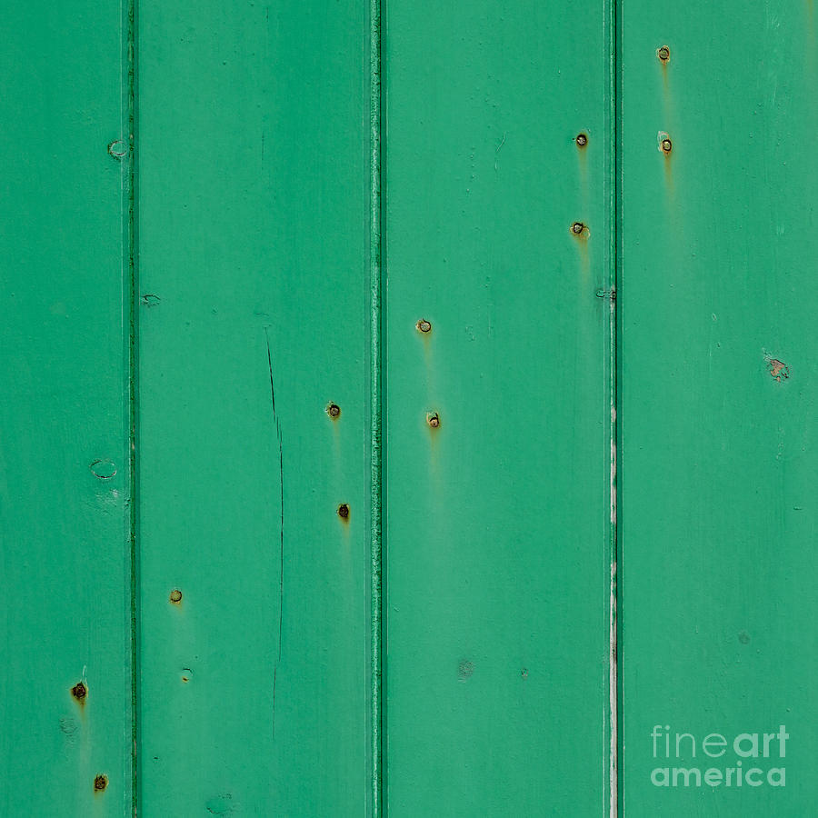 12 Rusty Nails In A Green Door Photograph by Wendy Wilton
