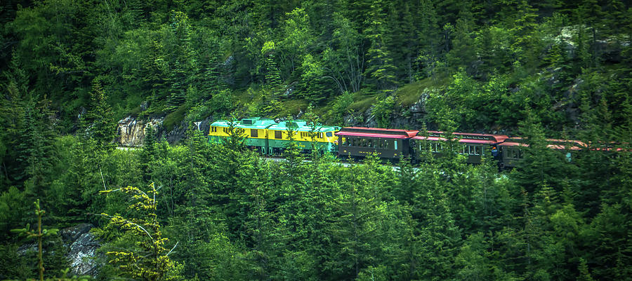 Scenic train from Skagway to White Pass Alaska #12 Photograph by Alex Grichenko
