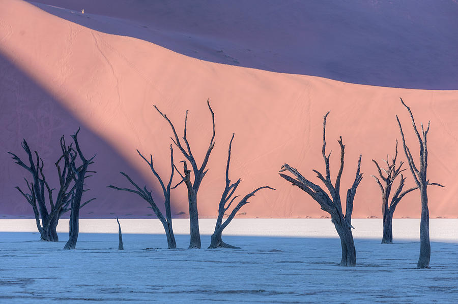 Sossusvlei - Namibia #12 Photograph by Joana Kruse