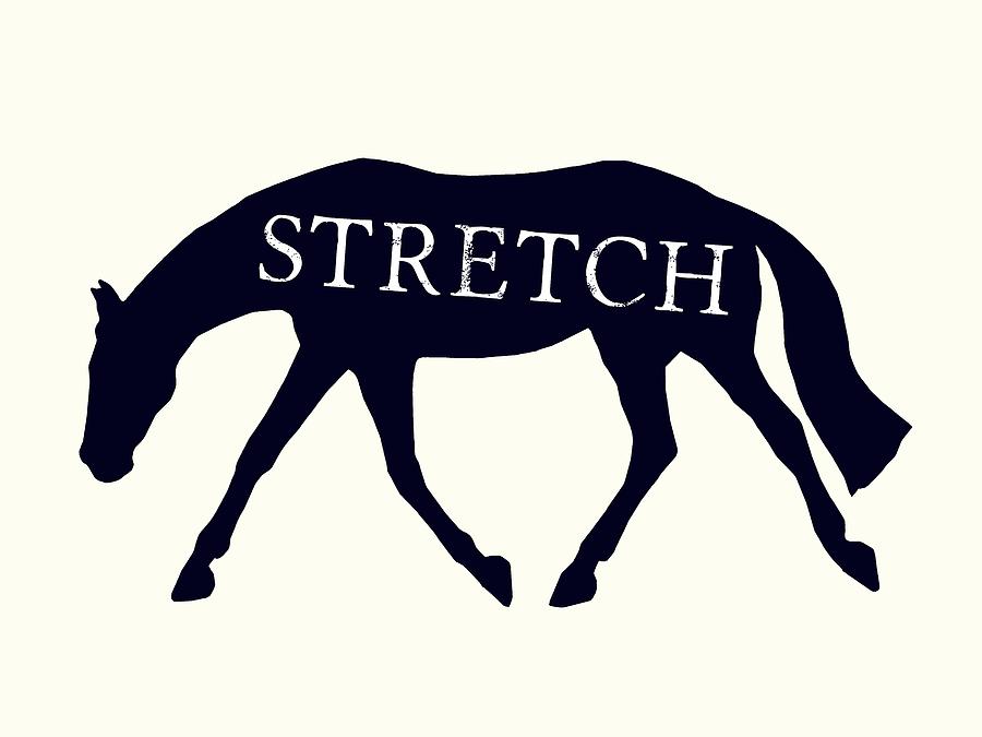 Stretch Silhouette Photograph by Dressage Design