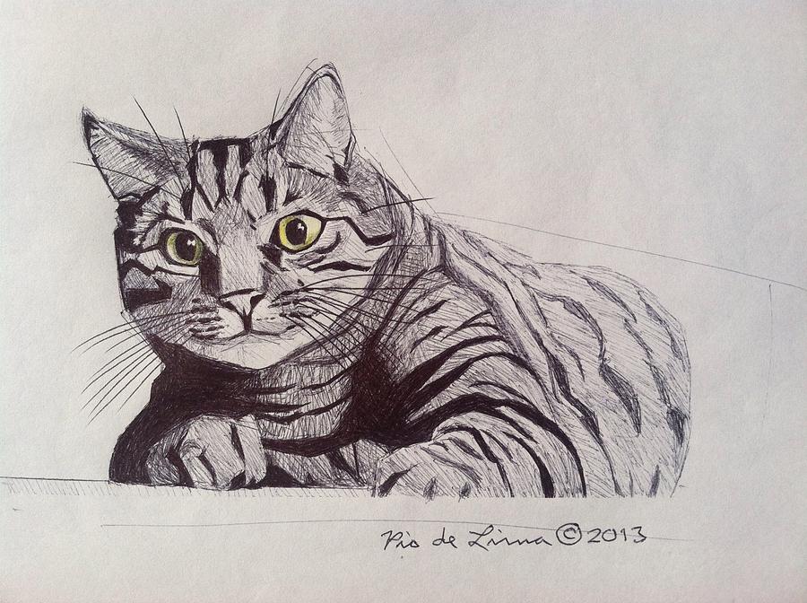 Tabby Cat Drawing by Pio De Lima Fine Art America