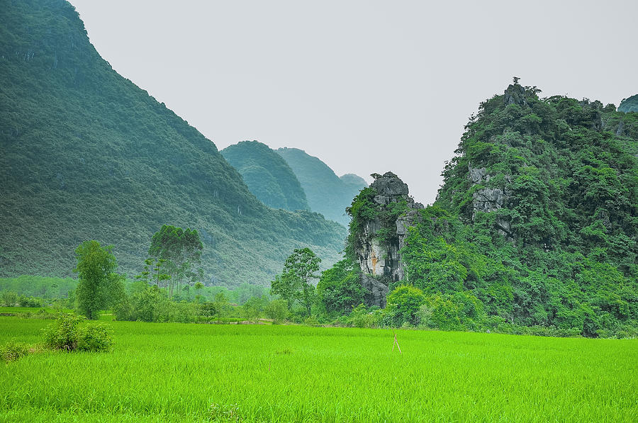 The beautiful karst rural scenery #12 Photograph by Carl Ning