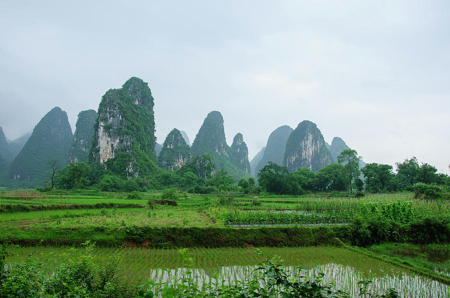 The beautiful karst rural scenery in spring #12 Photograph by Carl Ning