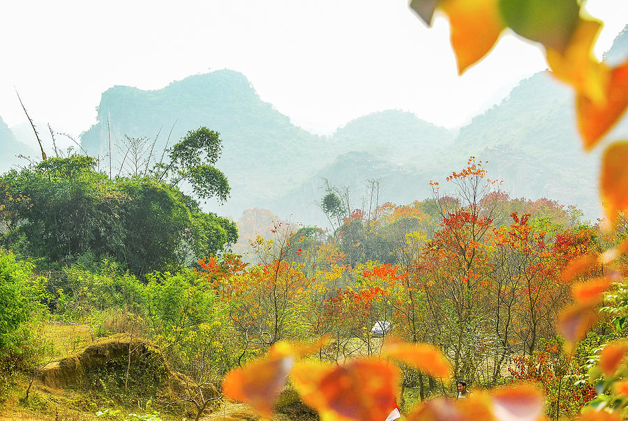 The colorful autumn scenery #12 Photograph by Carl Ning