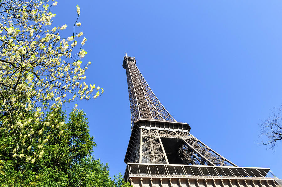 The Eiffel Tower in Paris #12 Photograph by Dutourdumonde Photography