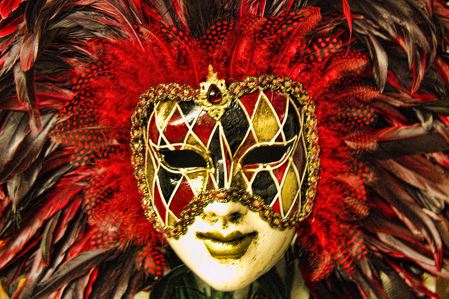 Venetian Carnaval Mask #12 Photograph by David Smith