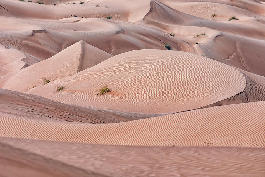 Wahiba Sands - Oman #12 Photograph by Joana Kruse
