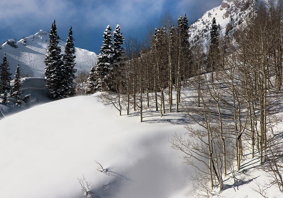 Wasatch Mountains in Winter #12 Photograph by Douglas Pulsipher