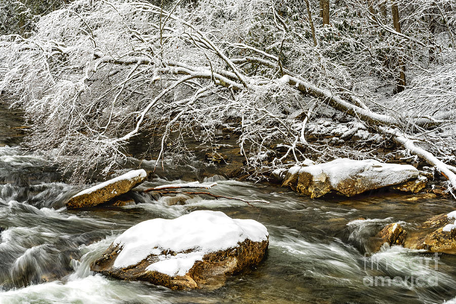 Winter Along Cranberry River Photograph