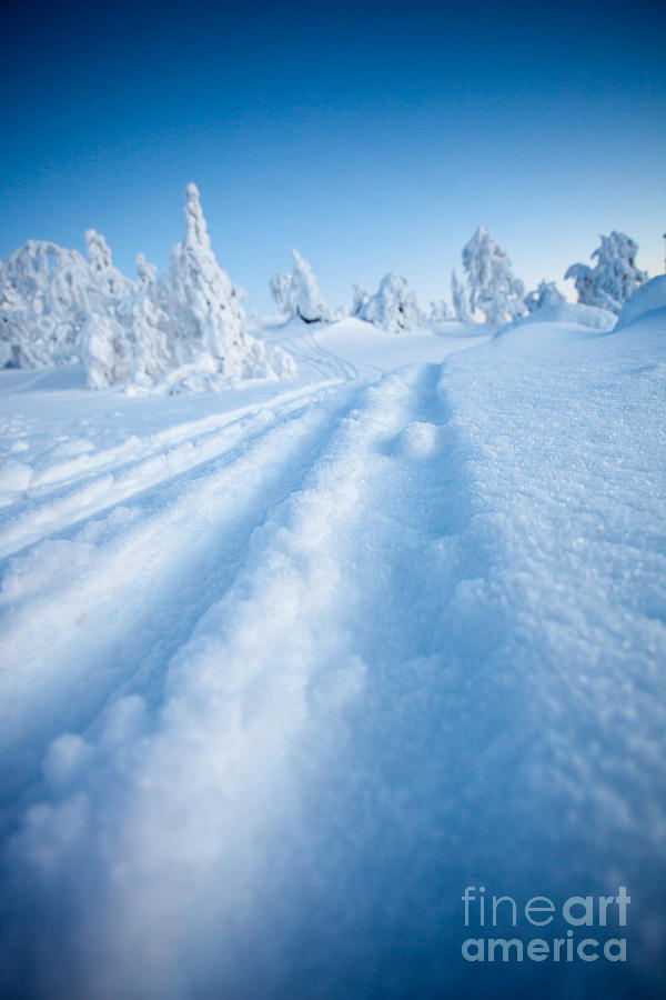 Winter in Lapland Finland #12 Photograph by Kati Finell