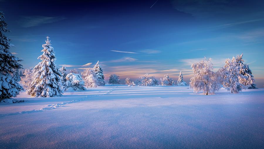 Winter Digital Art - Winter #12 by Maye Loeser