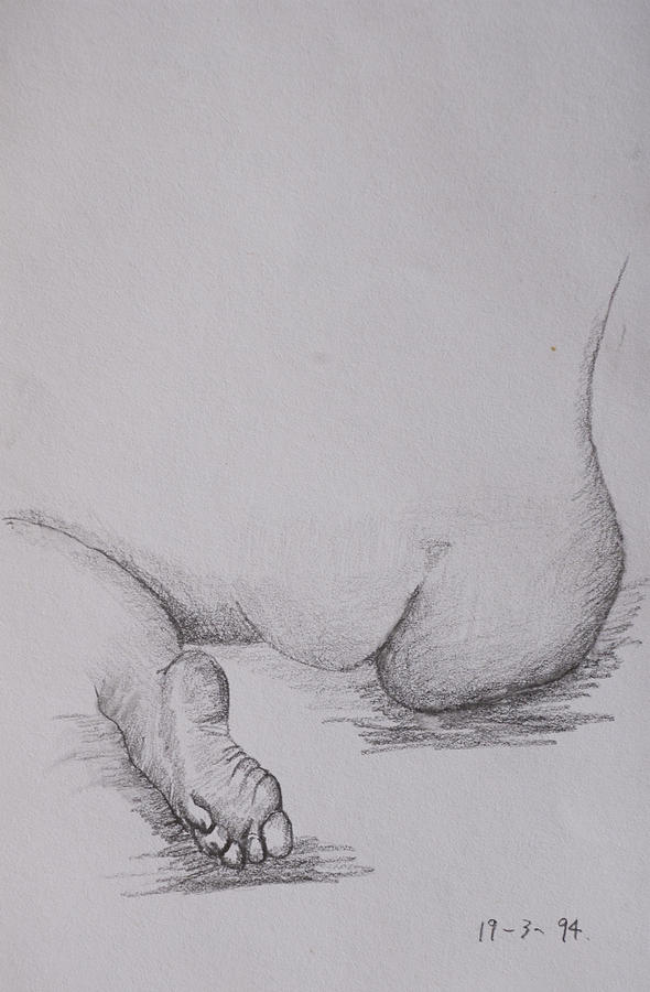 Nude study #120 Drawing by Masami Iida