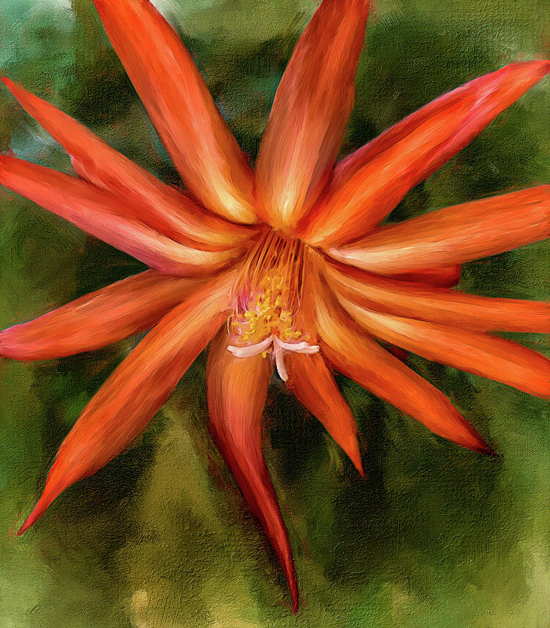 Nora Cactus Blossom Digital Art by Bill Johnson