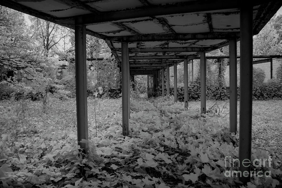 Abandoned Photograph - Infrared  #121 by FineArtRoyal Joshua Mimbs