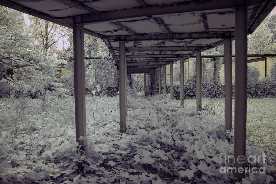 Infrared  #122 Photograph by FineArtRoyal Joshua Mimbs
