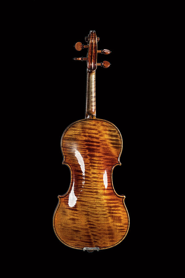 124 .1841 Violin by Jean Baptiste Vuillaume Photograph by M K Miller