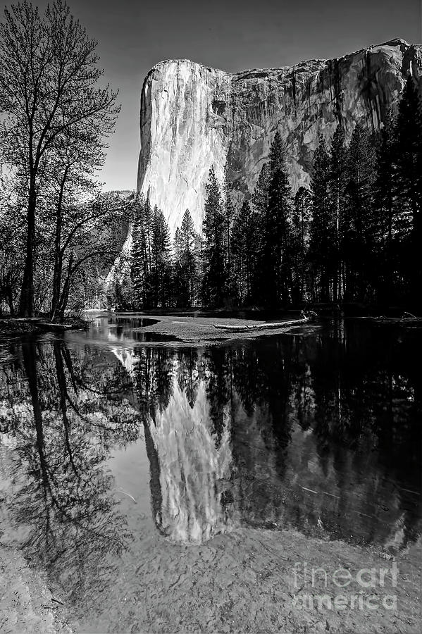 1254 El Capitan Black and White Photograph by Steve Sturgill