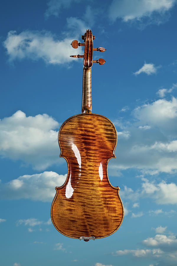 126 .1841 Violin by Jean Baptiste Vuillaume Photograph by M K Miller