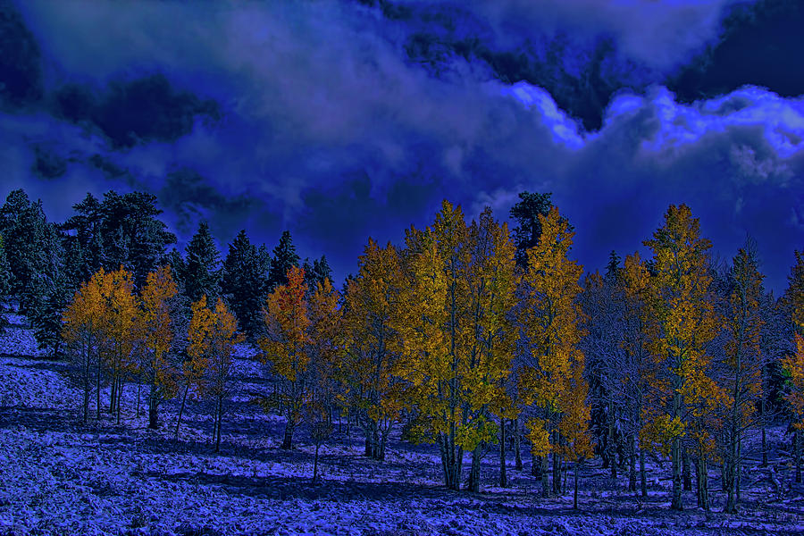 Fall Photograph - Rocky Mountain Fall #126 by Mark Smith