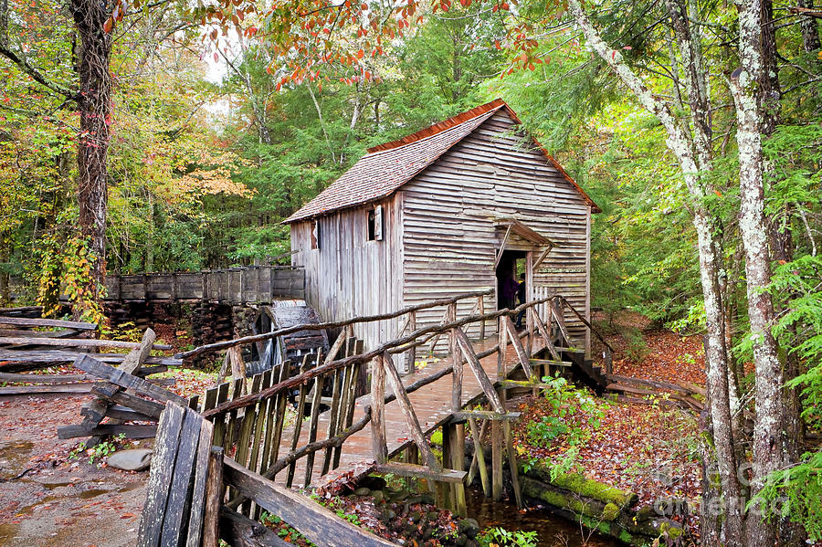 1267 Great Smoky Mountain Cable Mill Photograph by Steve Sturgill