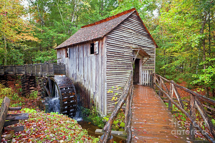 1268 Great Smoky Mountain Cable Mill Photograph by Steve Sturgill