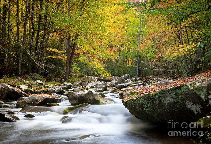 1269 Autumns Cascades Photograph by Steve Sturgill
